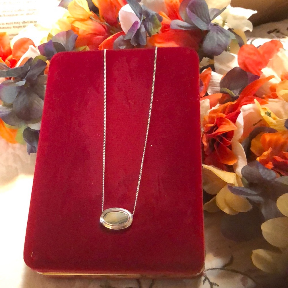 Abalone necklace